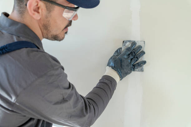 Best Commercial Mold Inspection  in Mvell, AR