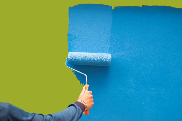 Professional Mold Removal in Marvell, AR